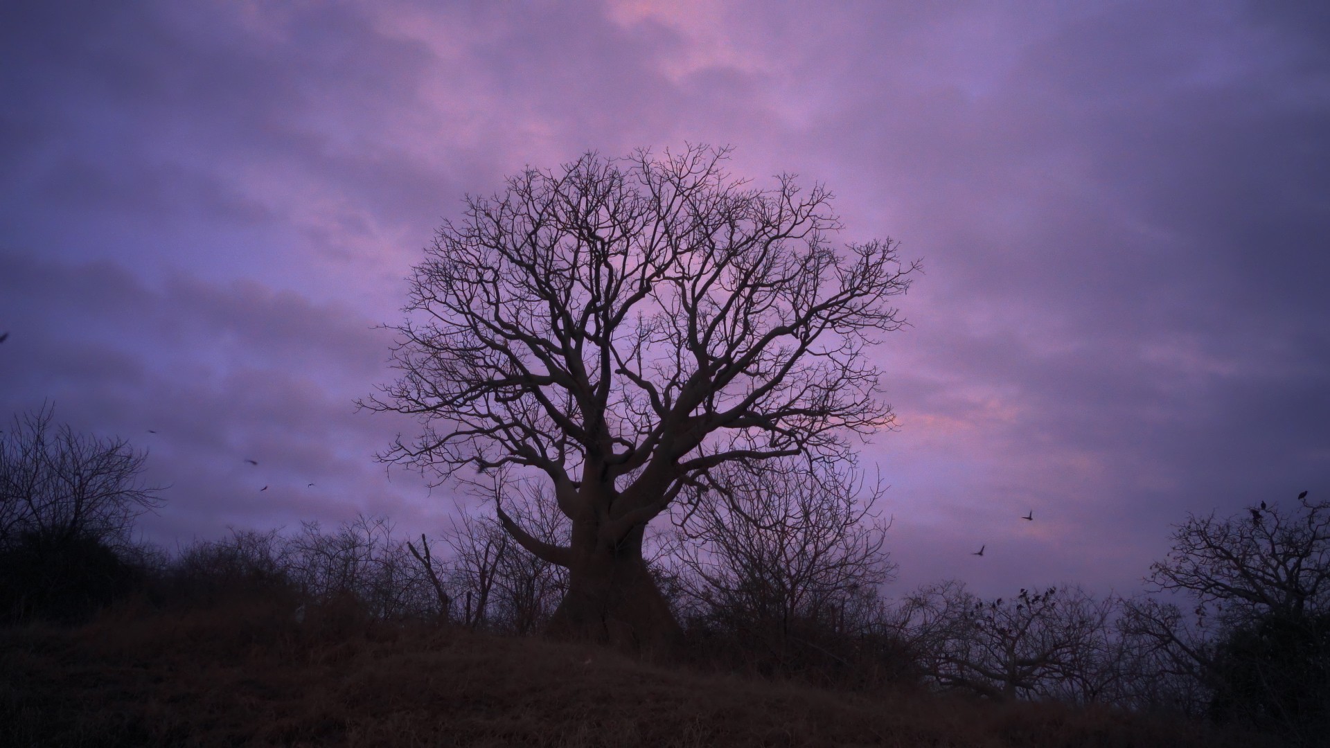 02ec7a0-p-310965-print5.jpg - IN München - Das Stadtmagazin Bilder aus Wir, die Wolfs