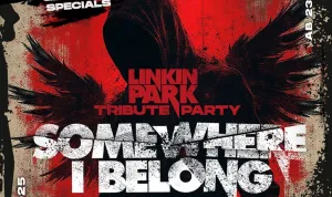 Somewhere I Belong am 9.1. im Backstage