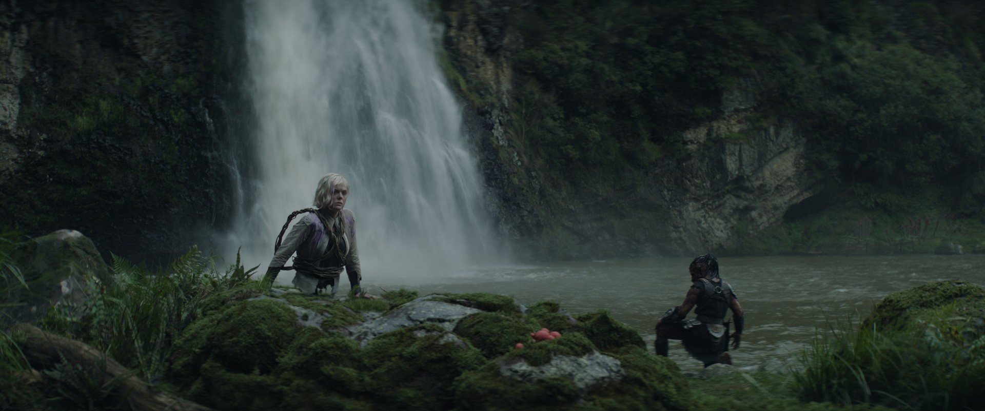 Bilder aus Predator: Badlands