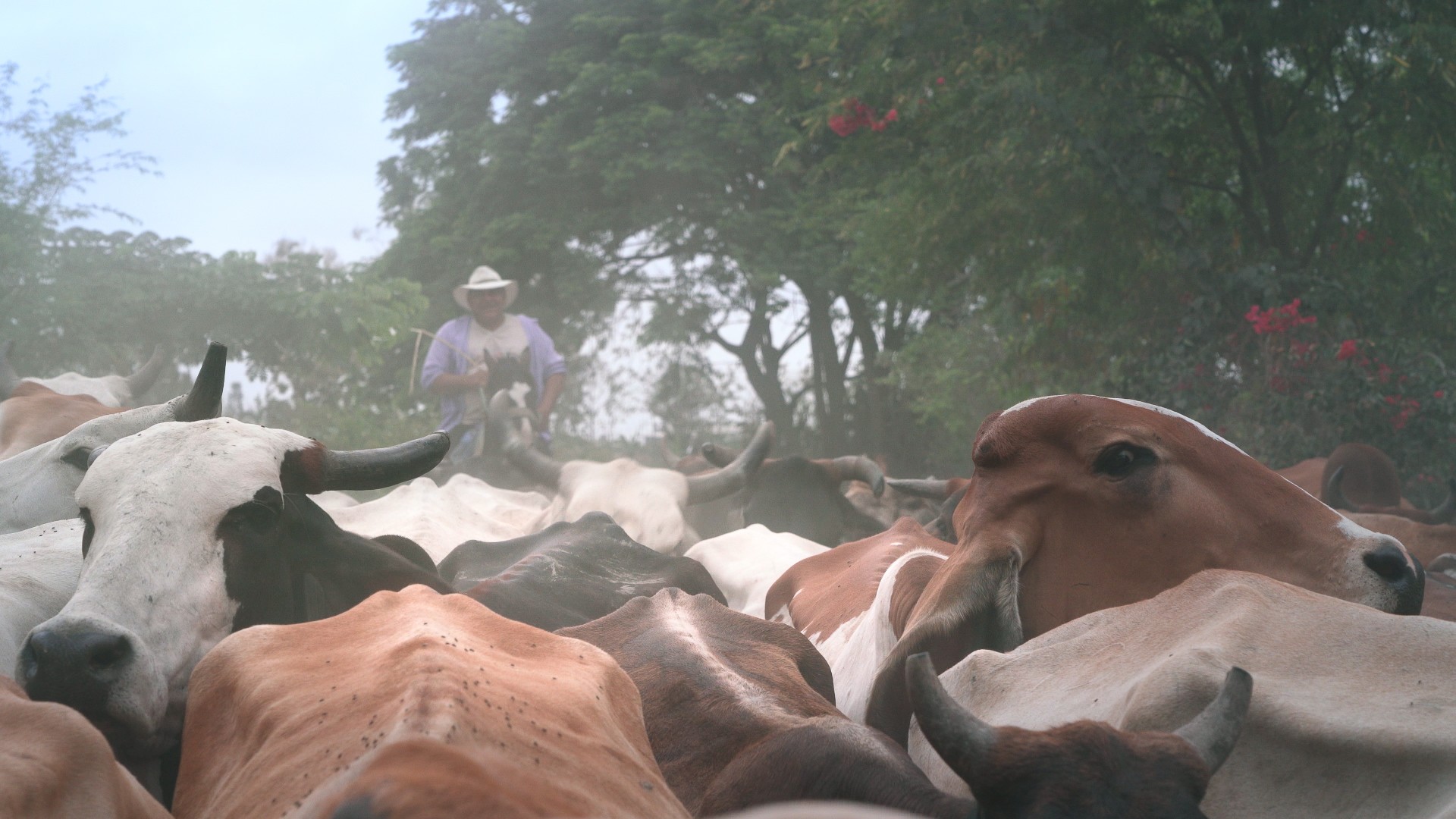 58f1fb7-p-310965-print2.jpg - IN München - Das Stadtmagazin Bilder aus Wir, die Wolfs