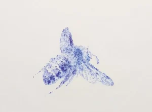 Neue Ausstellungen im Januar 2026