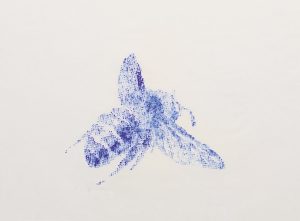 Ausstellungen im Januar