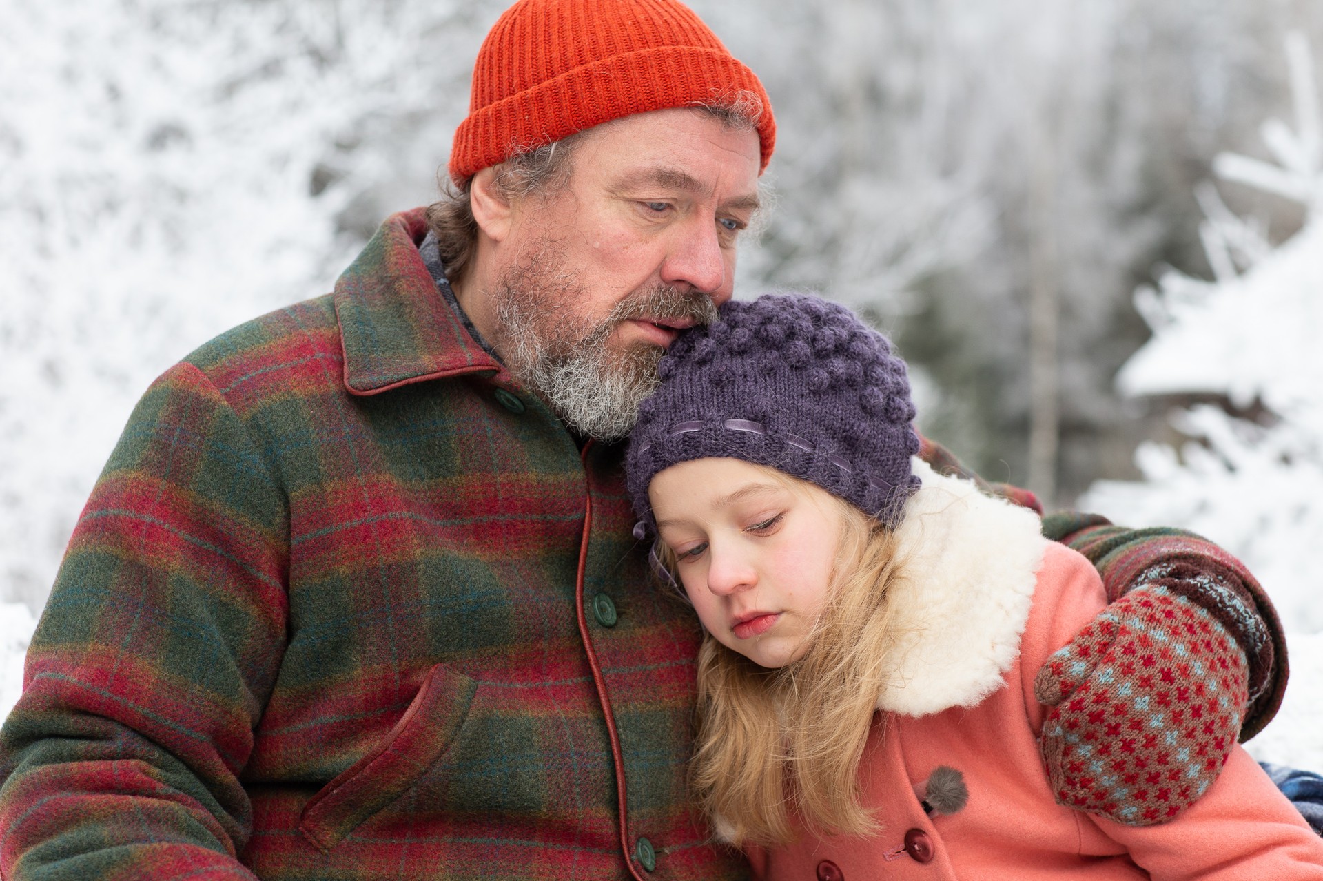 Bilder aus Weihnachten im Zaubereulenwald