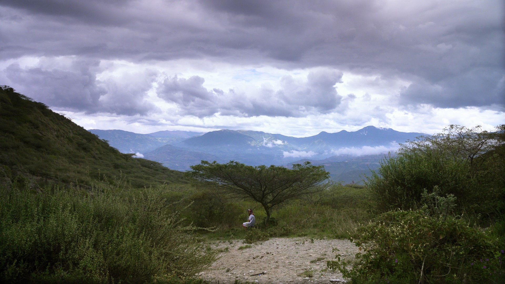 88cab87-p-310965-print10.jpg - IN München - Das Stadtmagazin Bilder aus Wir, die Wolfs