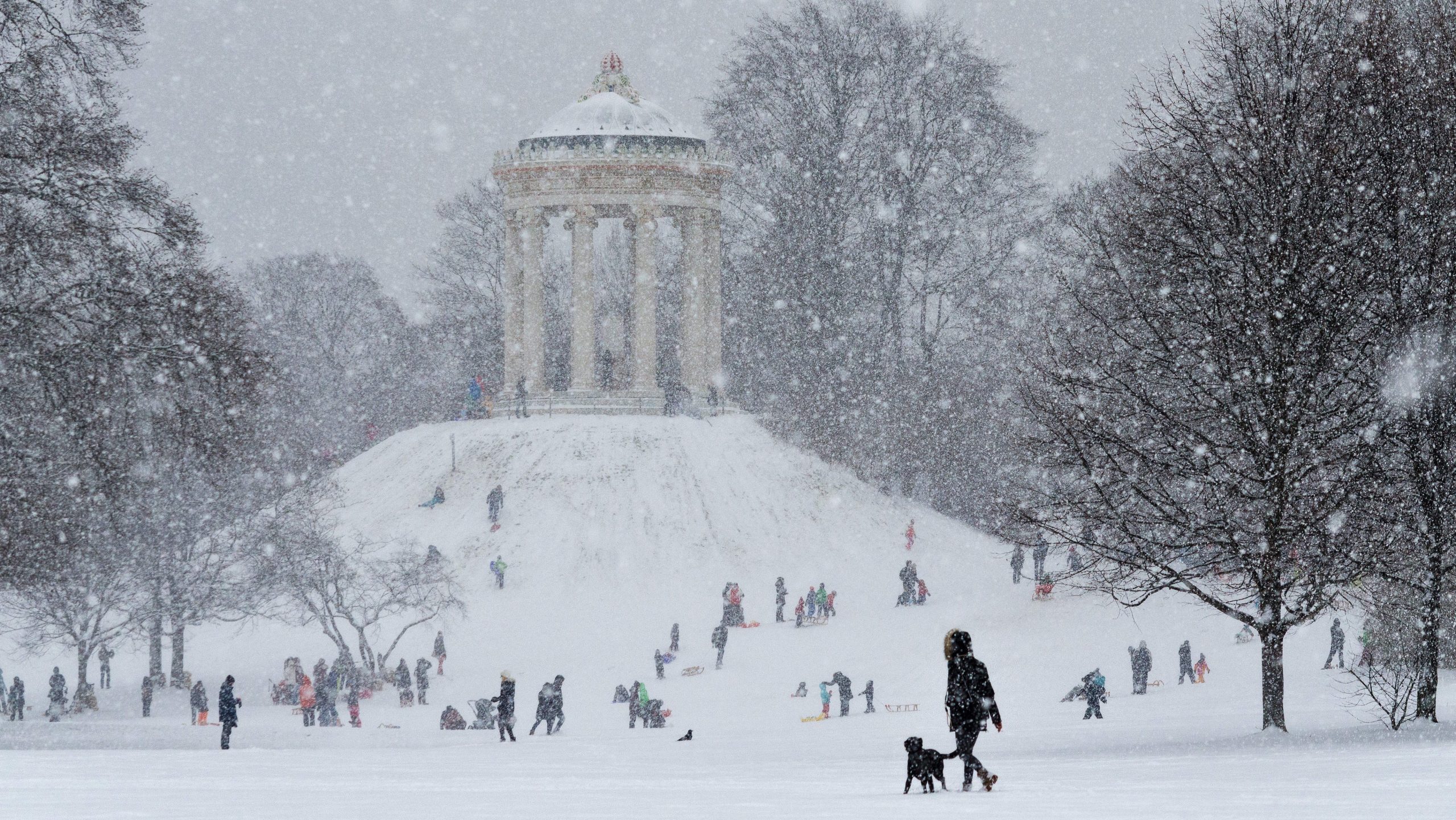 Schneefall am Monopteros im Englischen Garten, viele Menschen fahren Schlitten
