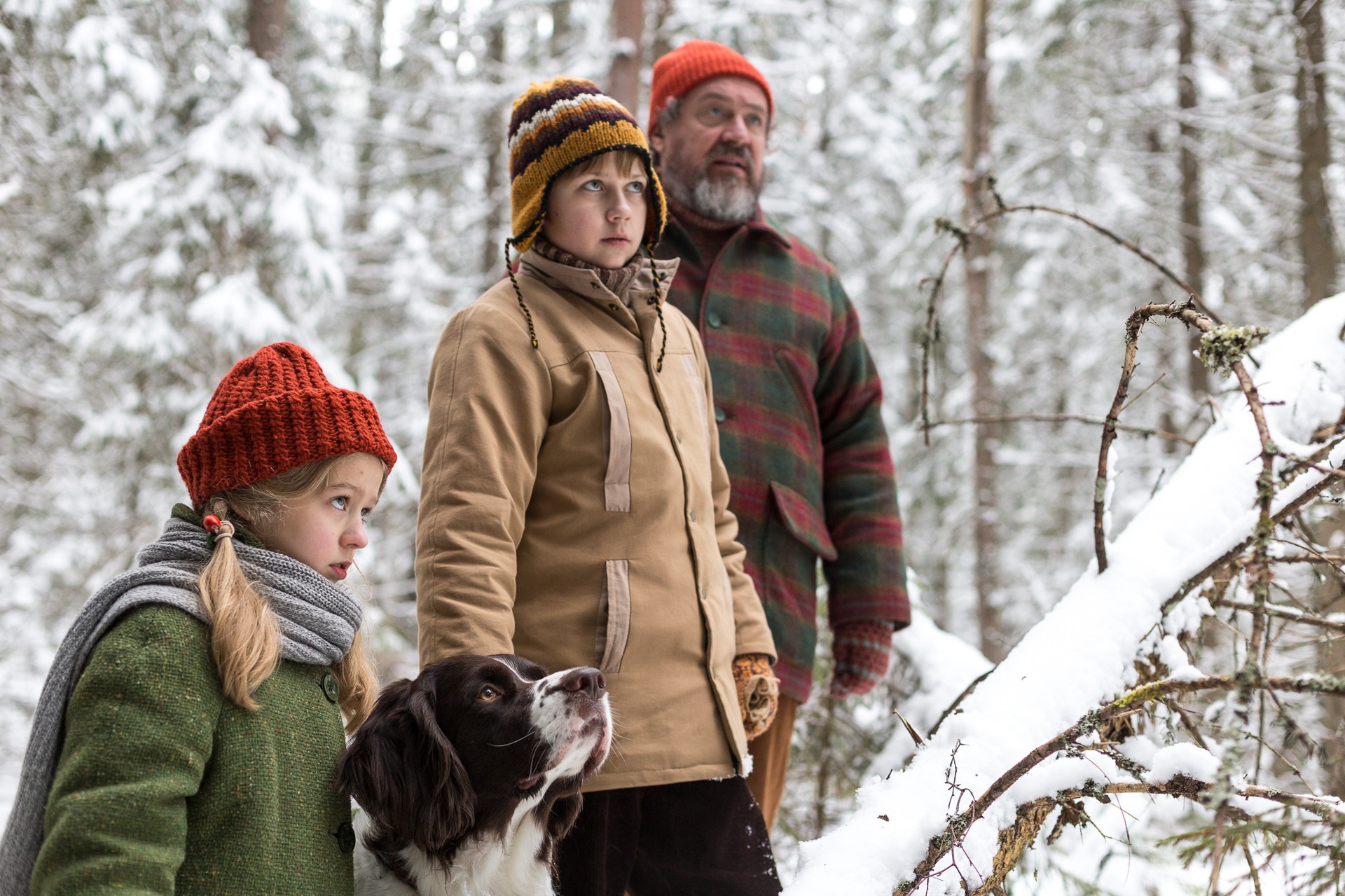 Bilder aus Weihnachten im Zaubereulenwald