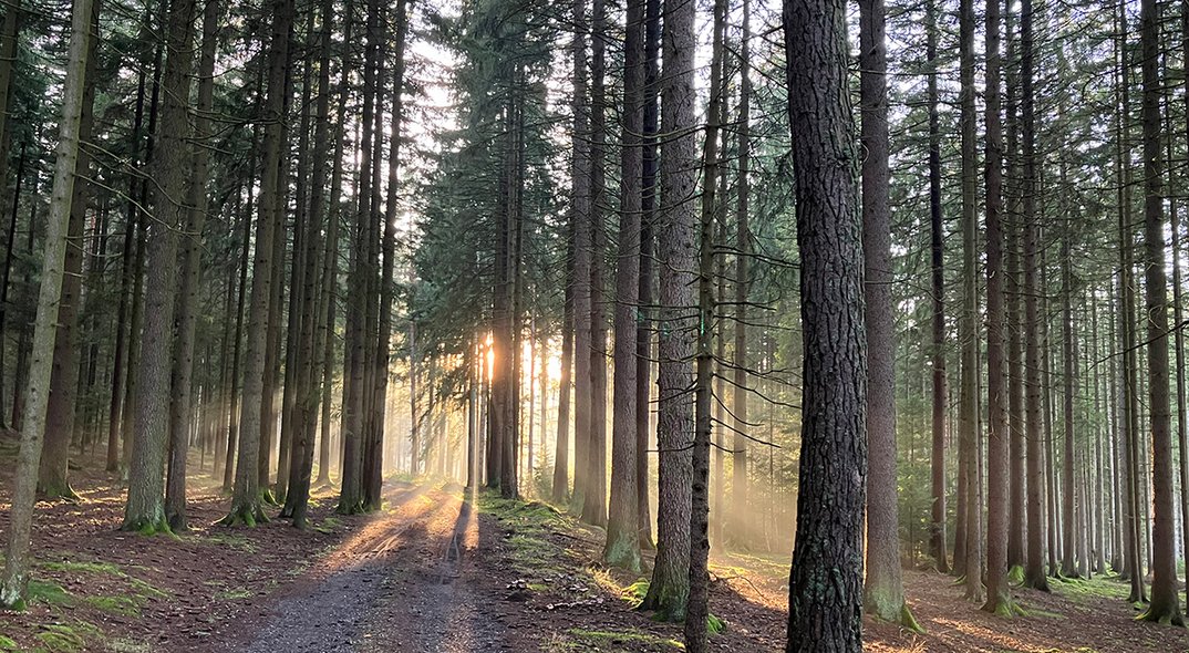 Film von Lenka Ovčáčková: Das Licht für die Zukunft