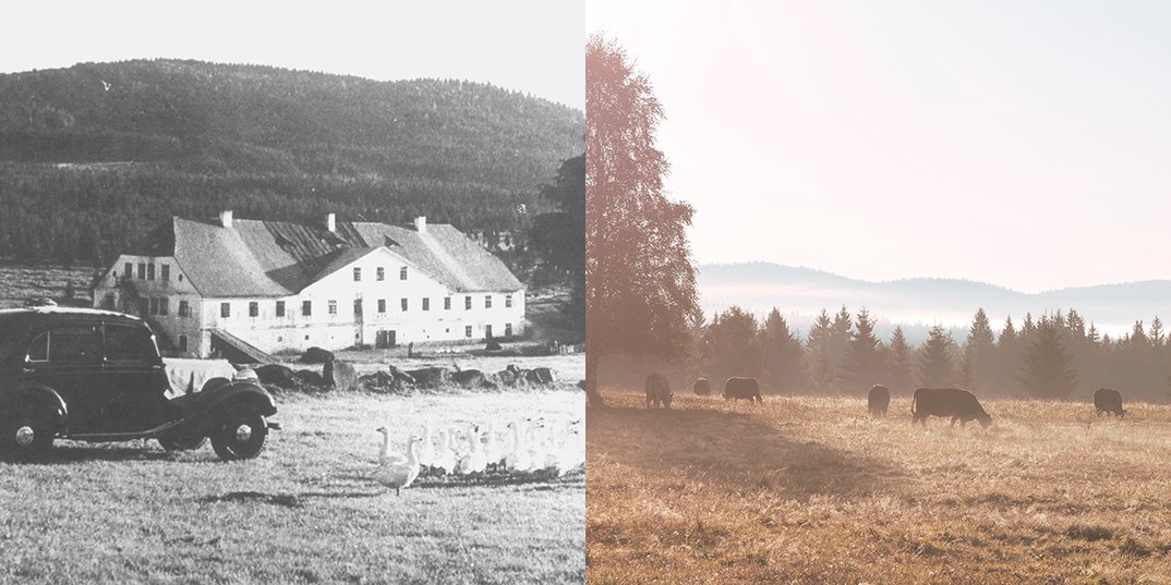 Vernissage: Was war und was bleibt