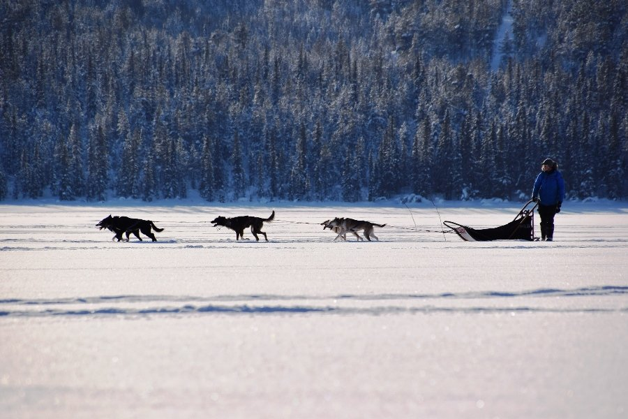 Unterwegs am Polarkreis