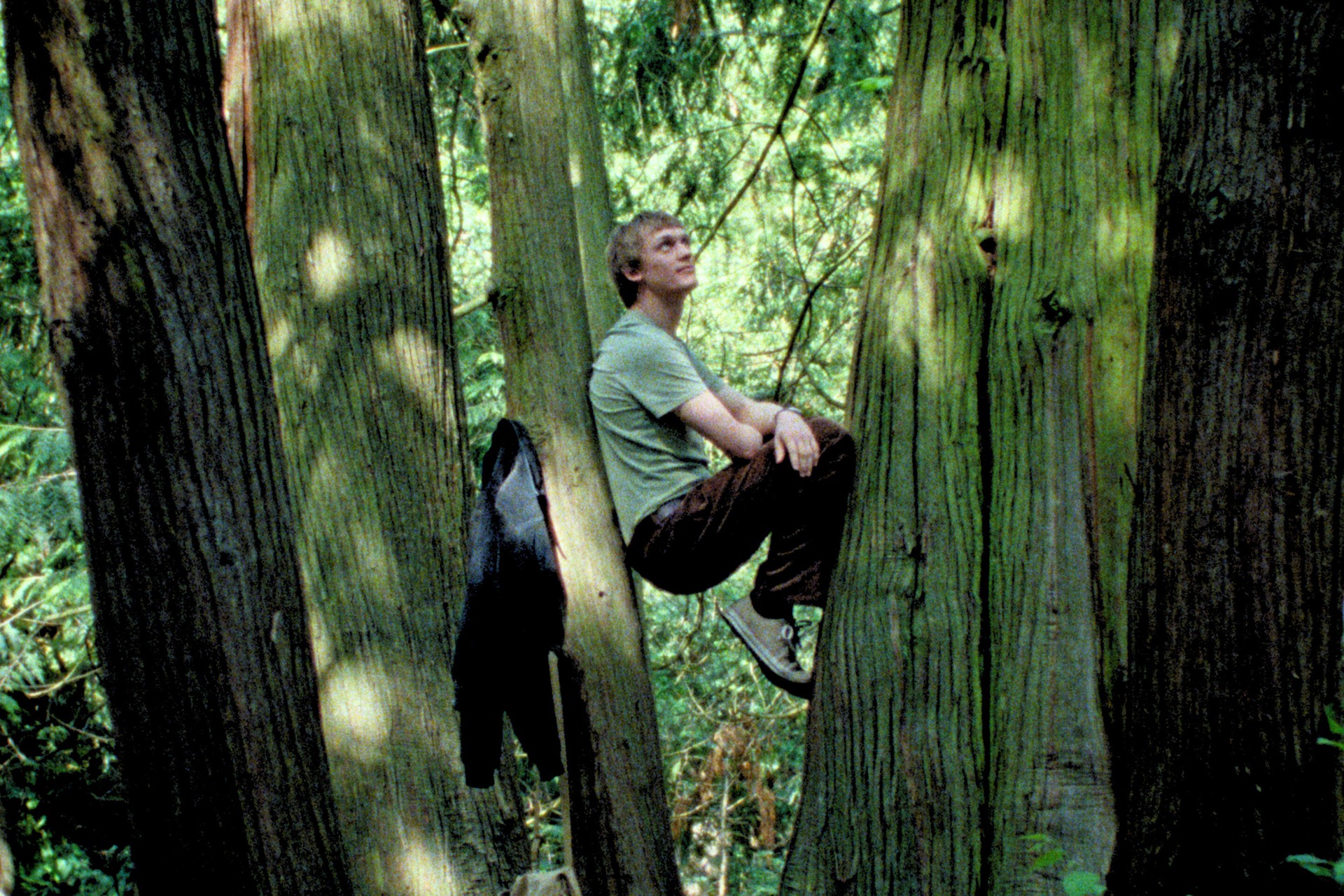 Bilder aus Silent Friend