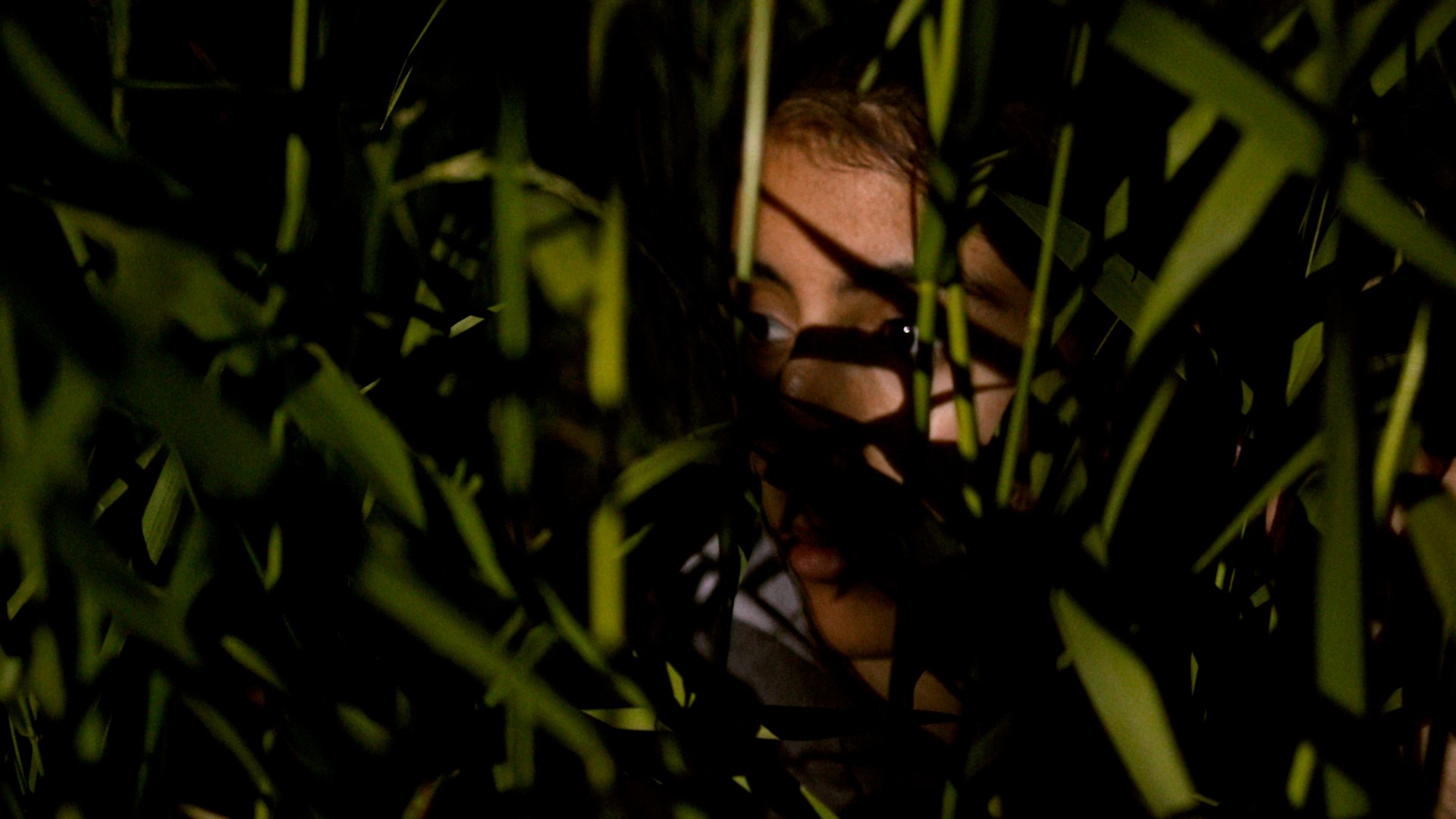 091cdde-p-301533-print8.jpg - IN München - Das Stadtmagazin Bilder aus Echoes from Borderland