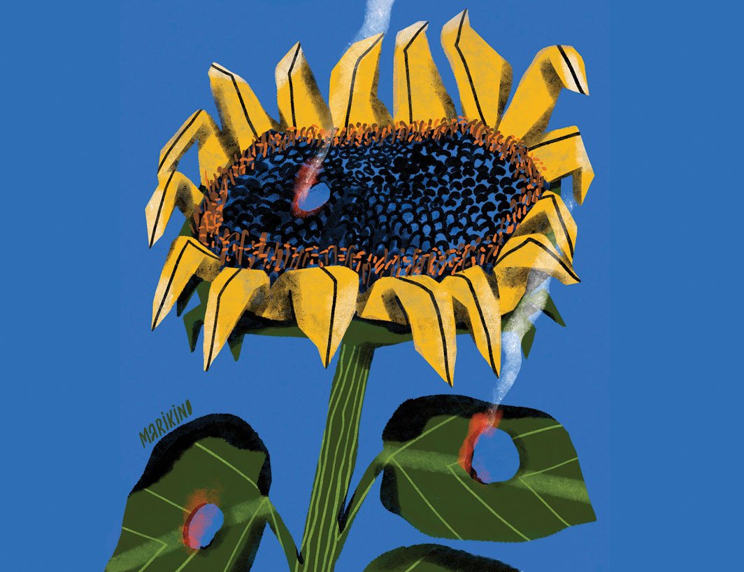 Ukraine nach vier Jahren Krieg