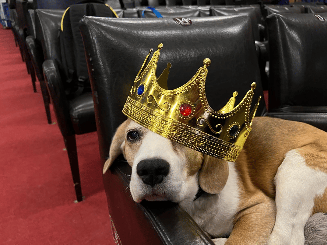 Familiensonntag: EinsLeben!