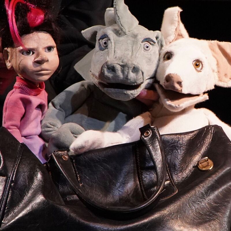 Katastrophe, Katastrophe!