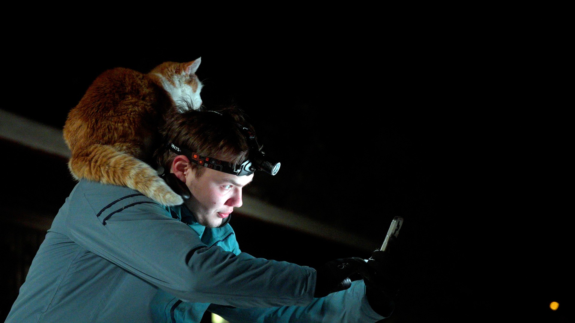 Bilder aus Folktales