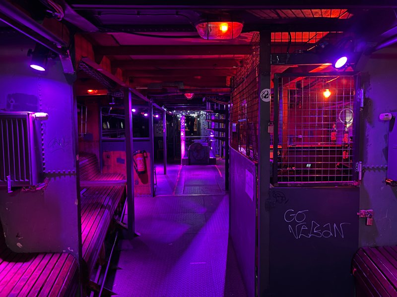 Kreativität der Natur – Expertinnentalk mit Elektrokonzert