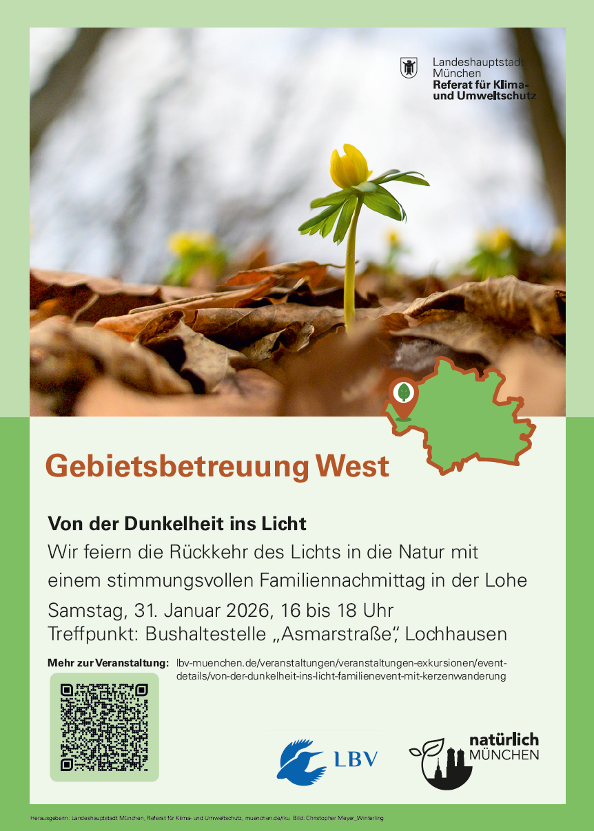 Von der Dunkelheit ins Licht