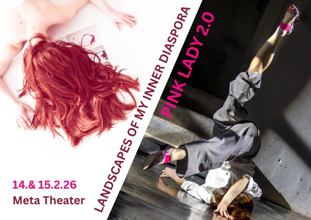Landscapes Of My Inner Diaspora // Pink Lady 2.0