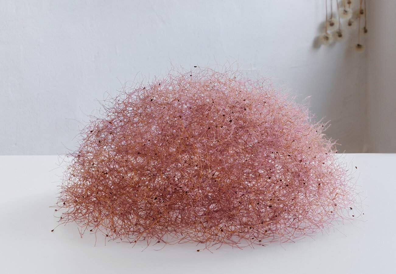 Christiane_Loehr__Durchlaessige_Halbkugel__2023_22_x_38_x_38_Baumblueten___c_VG_Bild-Kunst__Bonn_2025__Foto_David_Ertl.0-900-0.c1174-812-0-0 - IN München - Das Stadtmagazin Symbiosis Kunsthalle Augsburg