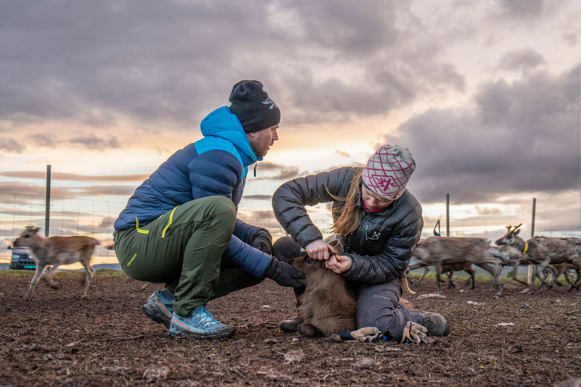 Bilder aus Beyond Tradition - Kraft der Naturstimmen