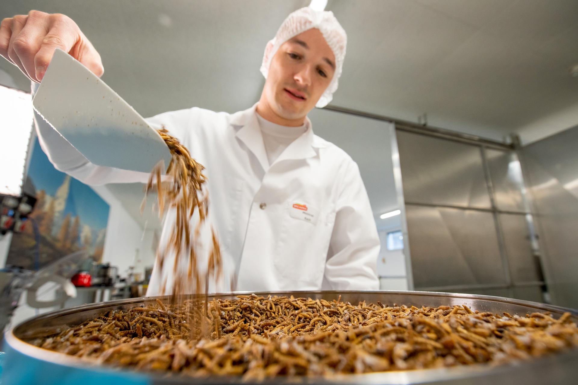 Bilder aus Beyond Tradition - Kraft der Naturstimmen