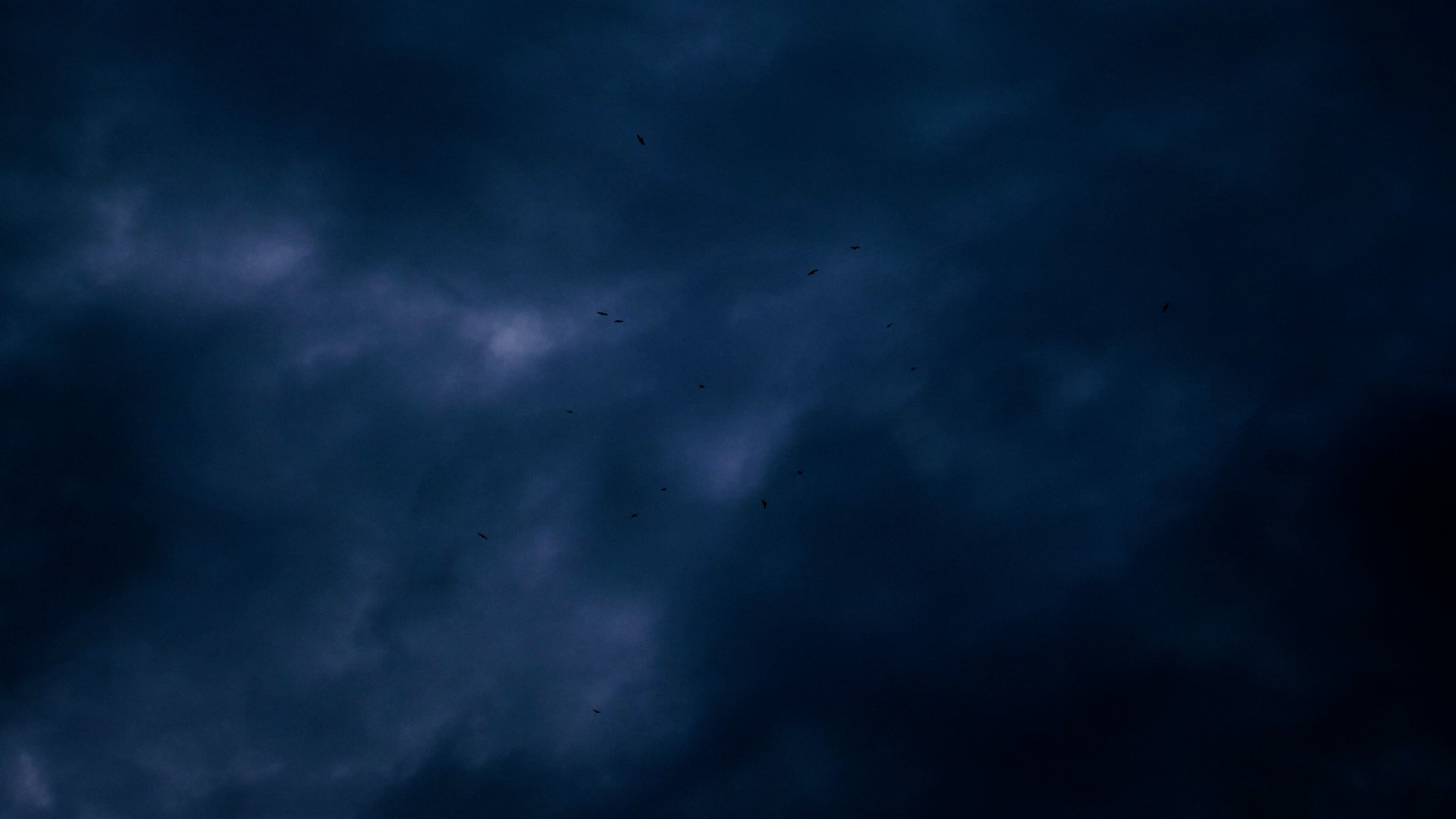 ed663c8-p-301533-print9.jpg - IN München - Das Stadtmagazin Bilder aus Echoes from Borderland