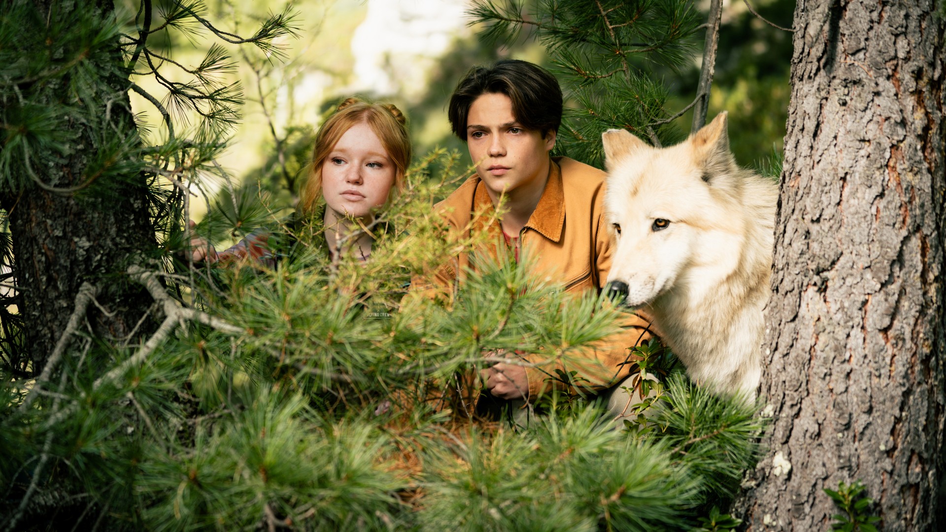 Bilder aus Woodwalkers 2