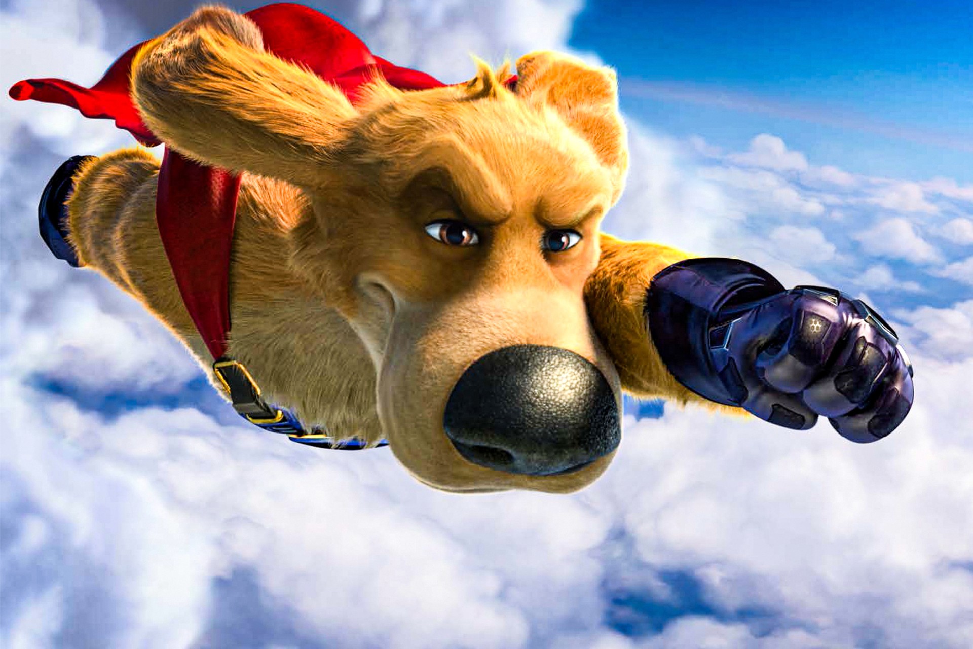 Bilder aus Charlie der Superhund