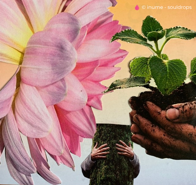 SoulCollage® „Frühlingserwachen“