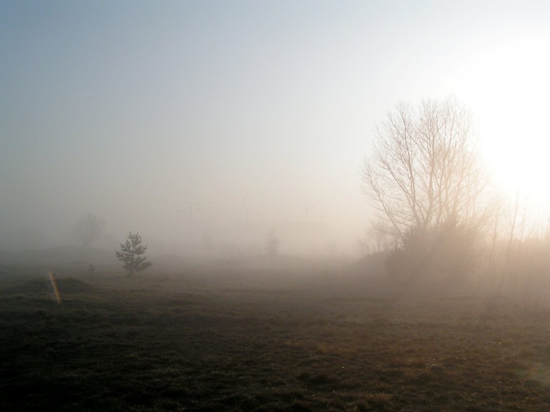 Was tut sich am Abend in der Heide?