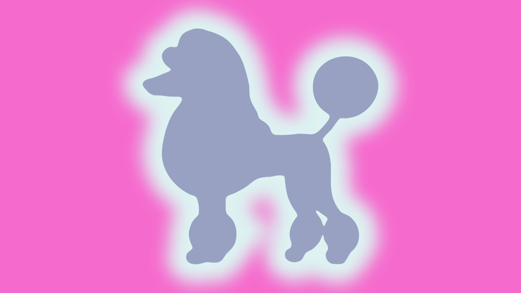 Intimacy Quarterly Playground