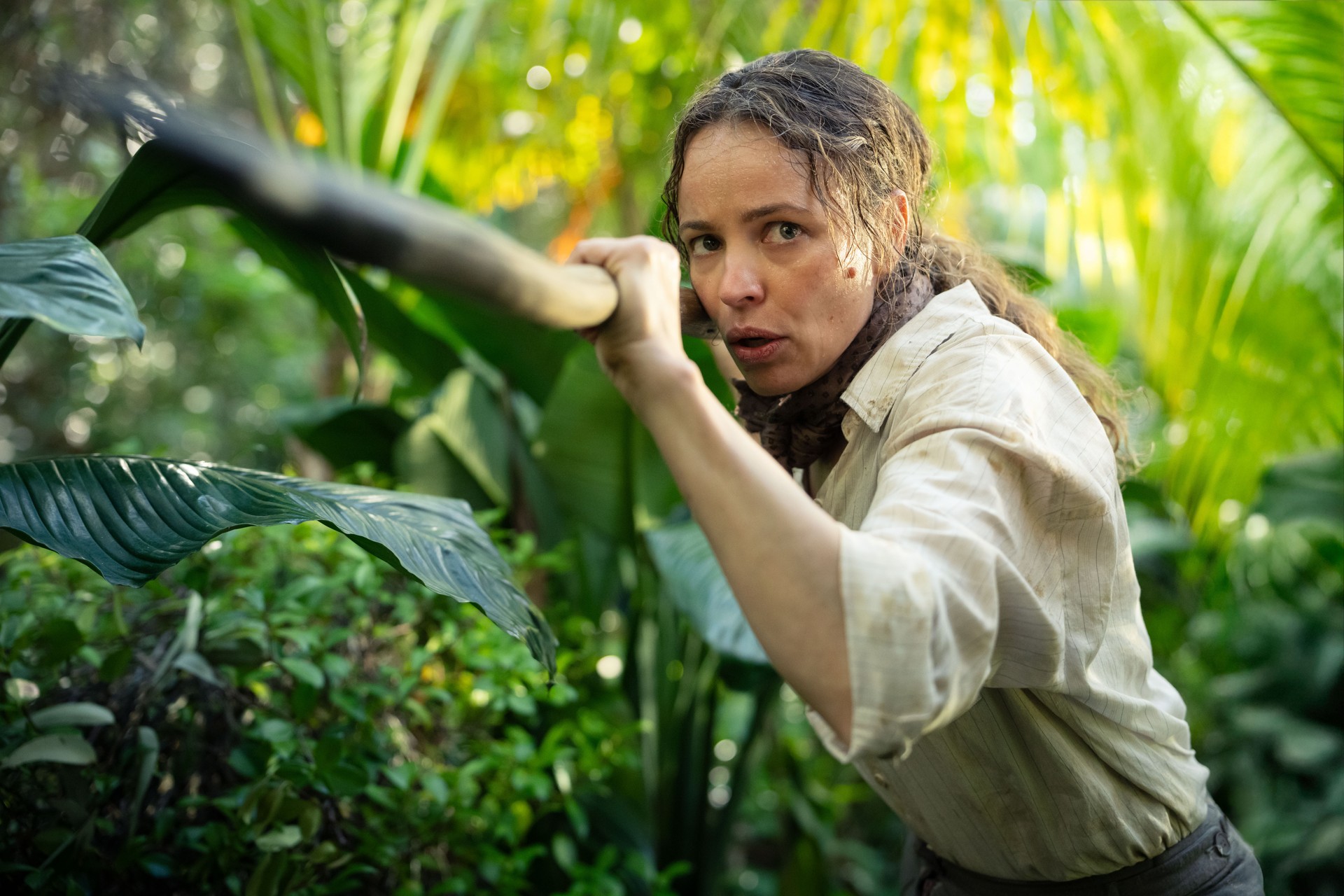 Bilder aus Send Help