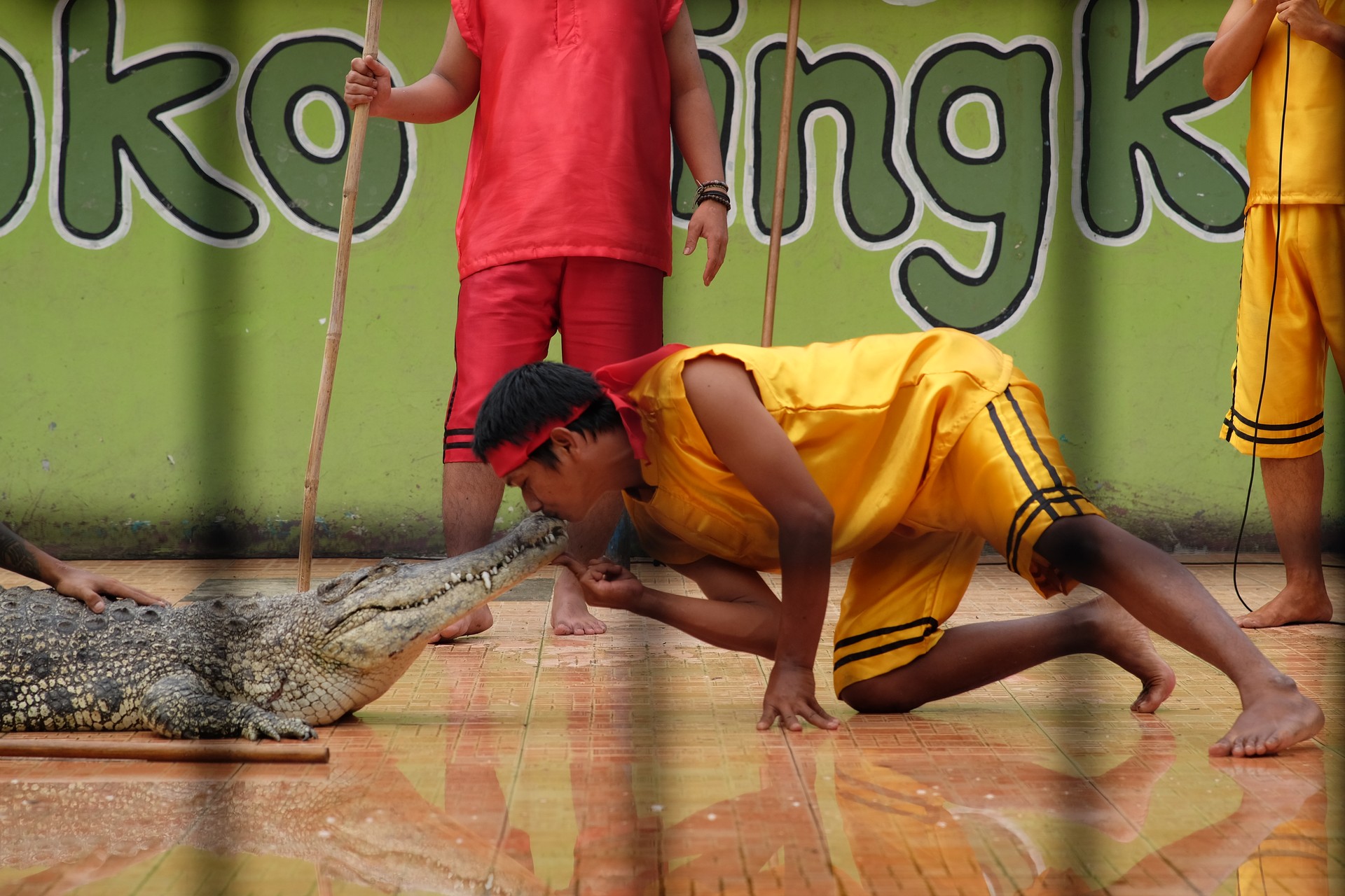 4ec993a-p-312195-print3.jpg - IN München - Das Stadtmagazin Bilder aus Crocodile Tears