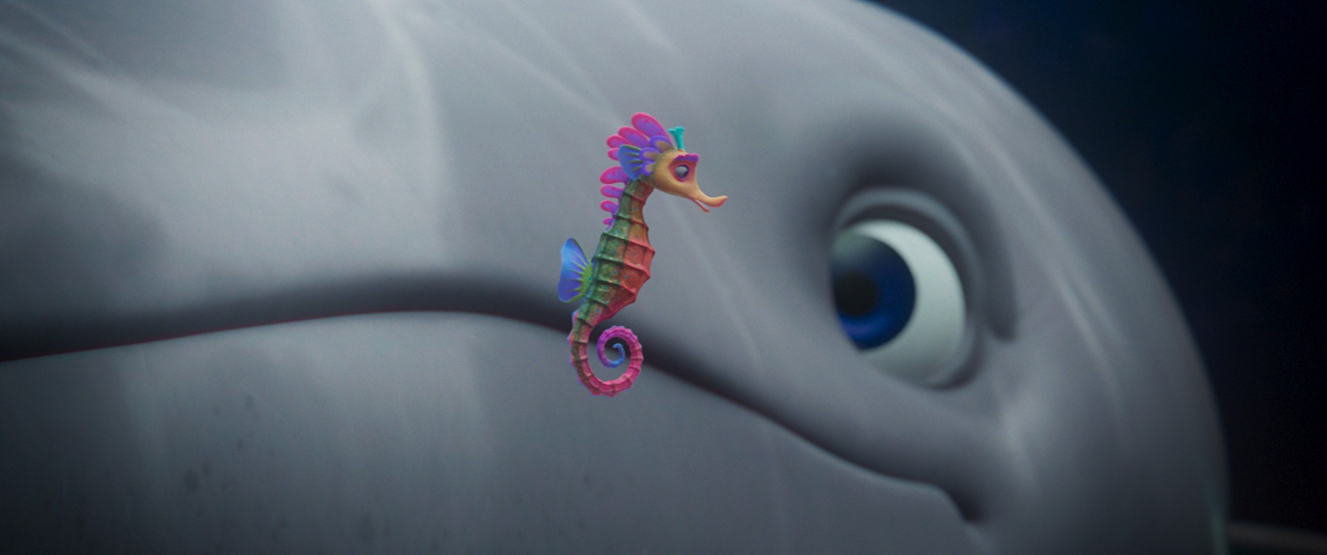 Bilder aus Der letzte Walsänger