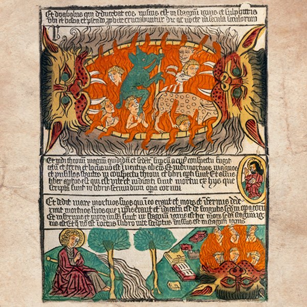 Die Blockbücher der Universitätsbibliothek der LMU München