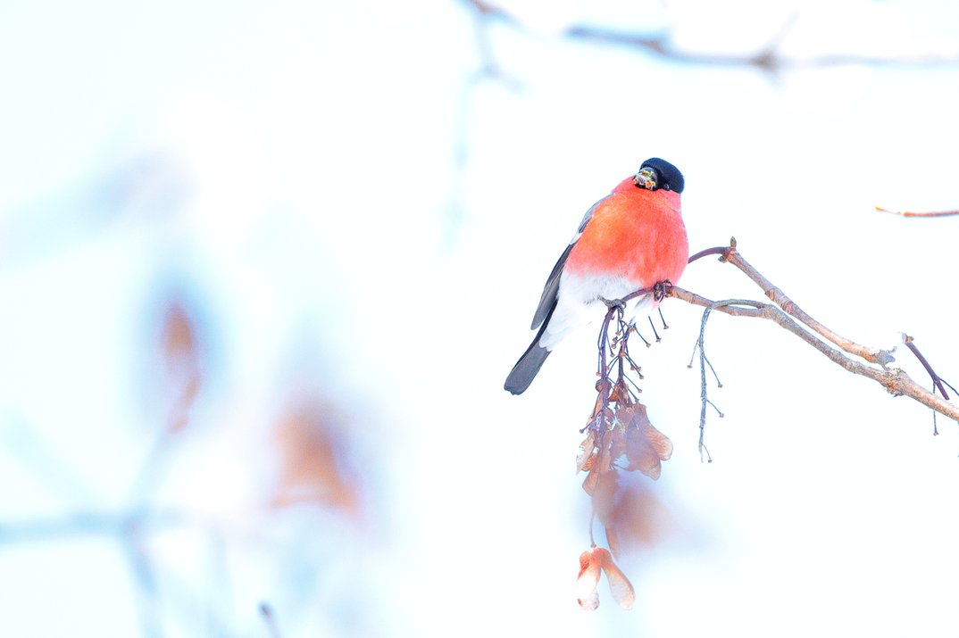 Sonderausstellung zum 19. Fotowettbew...