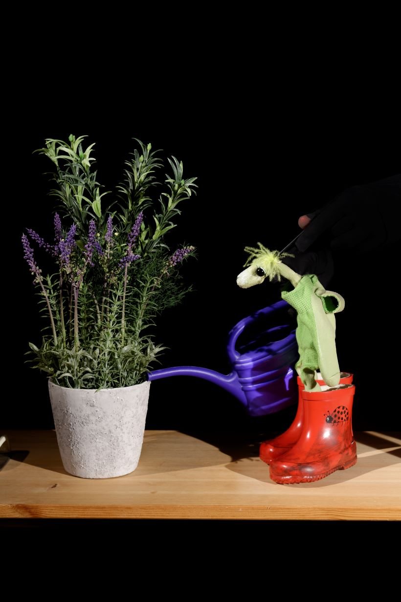 Als der kleine Koriander kam