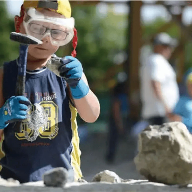 Dinosaurier Museum Altmühltal: Mitmachen