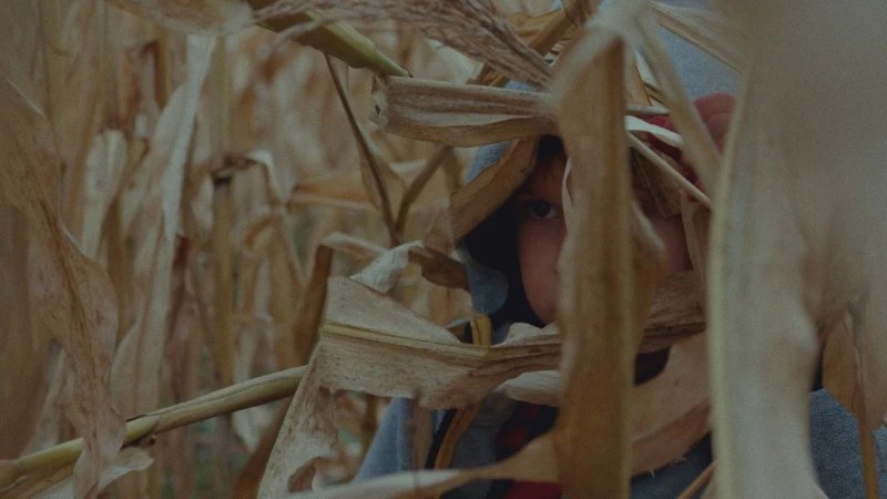 Vom Pfeifen im Walde