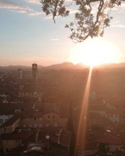 Die Toskana von Florenz bis Siena