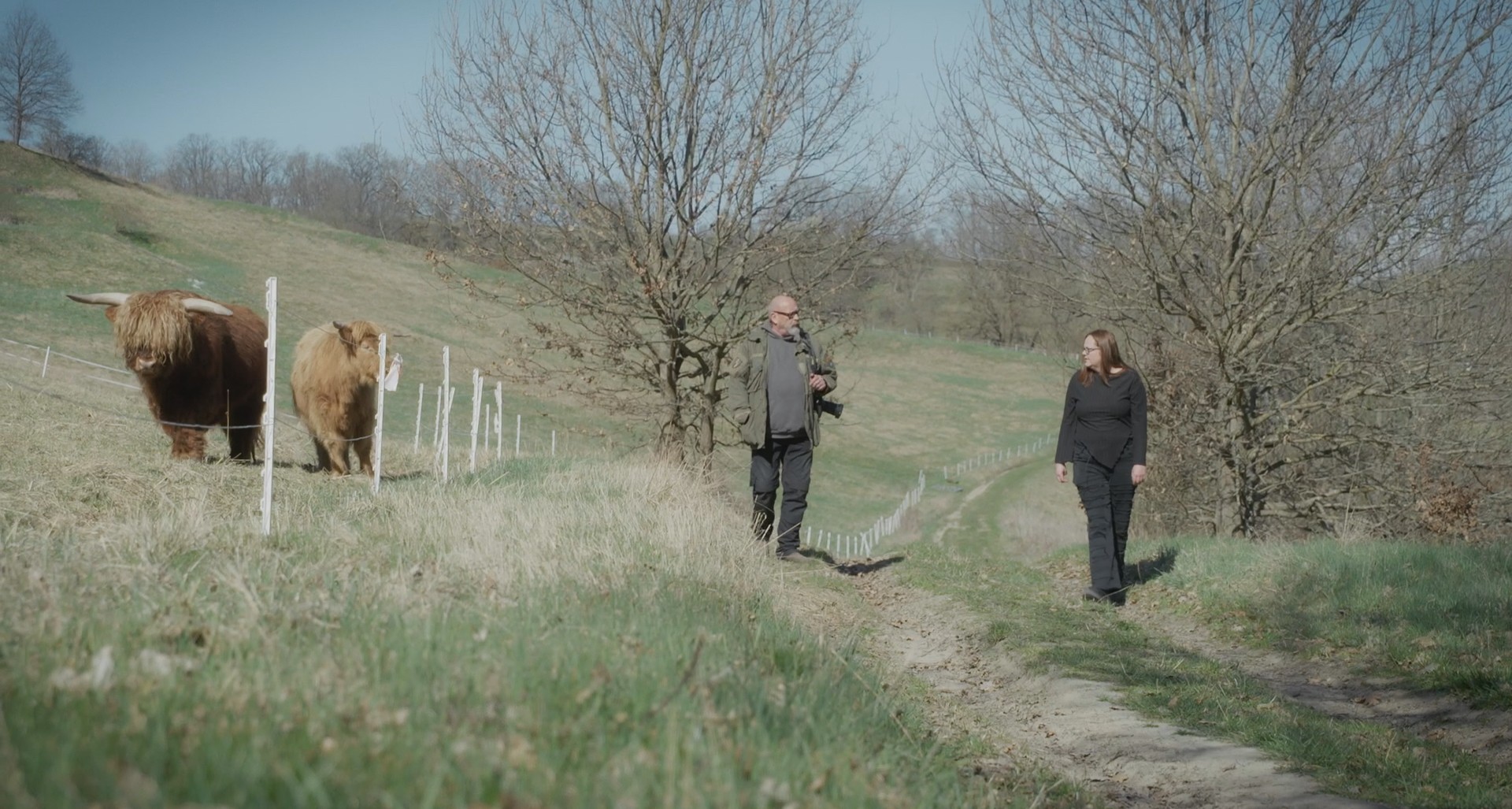 Bilder aus Ich war ein Zeuge