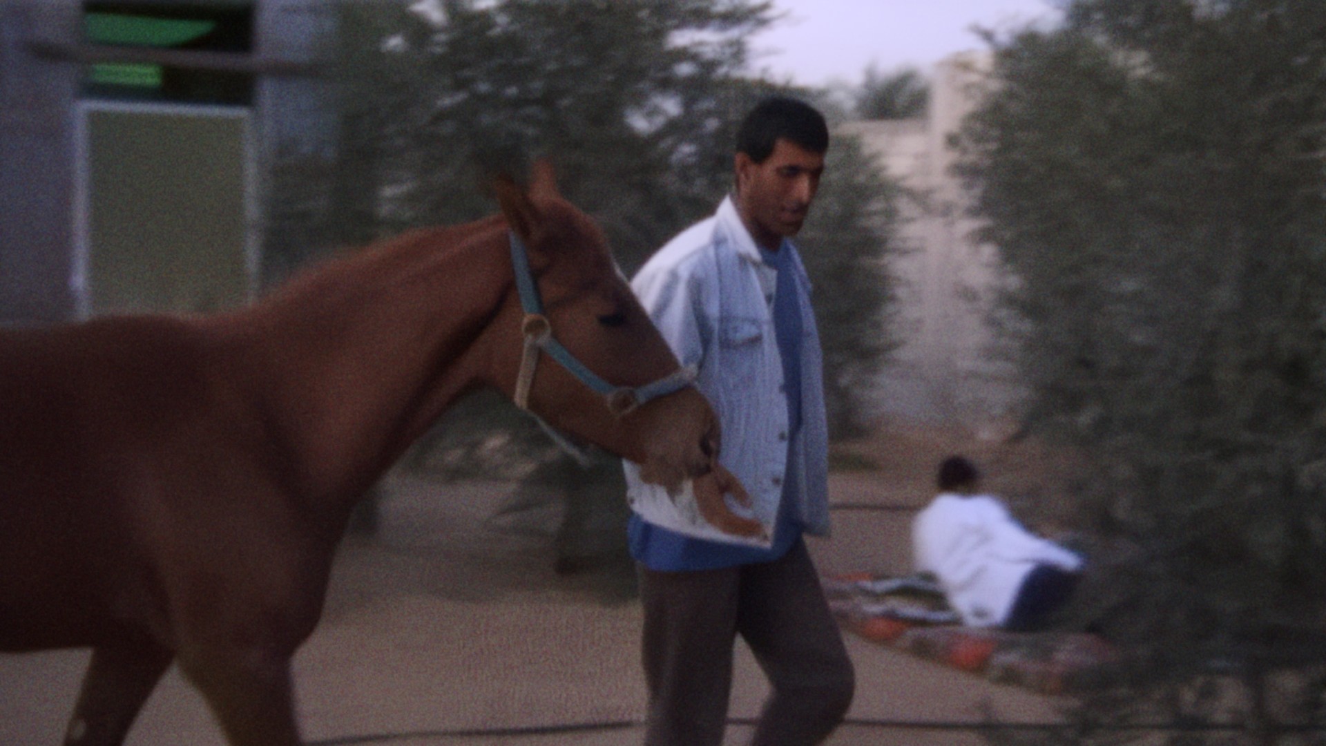 4a85866-p-312025-print7.jpg - IN München - Das Stadtmagazin Bilder aus Mit Hasan in Gaza