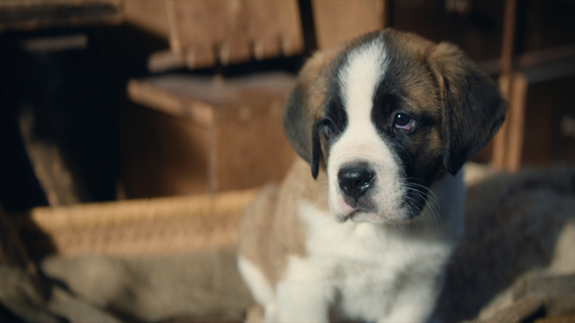 Bilder aus Mein Freund Barry