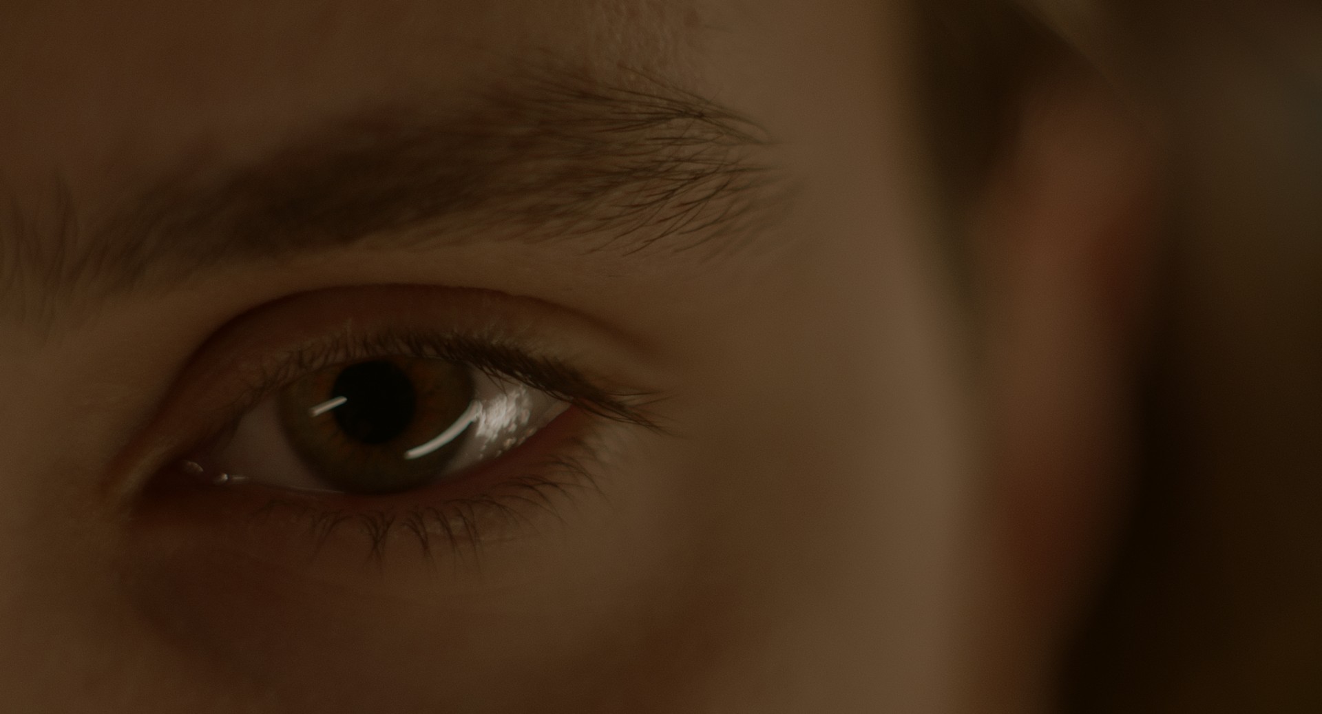 541babe-p-312339-print1.jpg - IN München - Das Stadtmagazin Bilder aus No Mercy