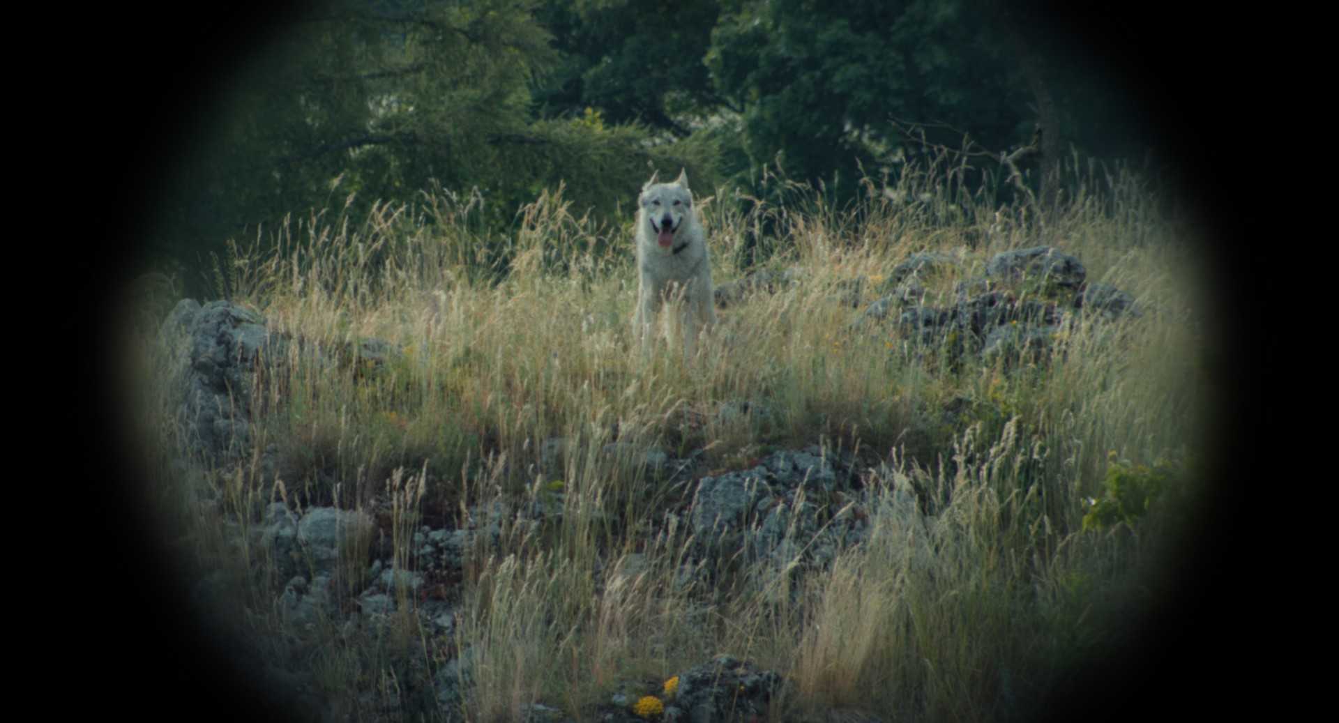 7adec6c-p-306138-print5.jpg - IN München - Das Stadtmagazin Bilder aus Nebelkind - The End of Silence