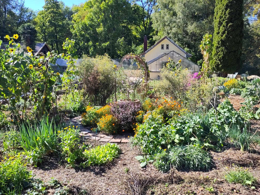 Frühlingserwachen im Magdalenenpark des BUND Naturschutz
