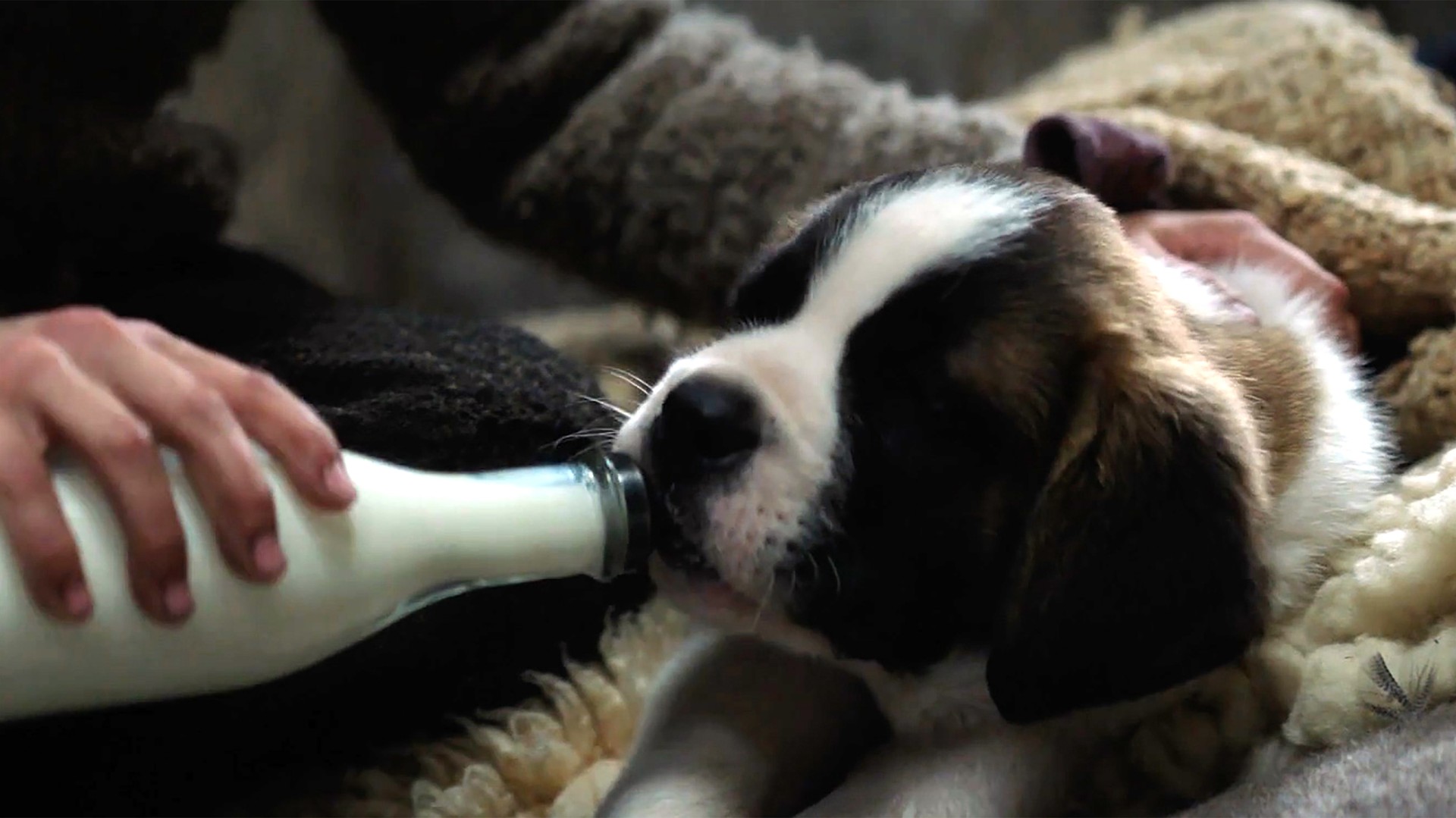 Bilder aus Mein Freund Barry