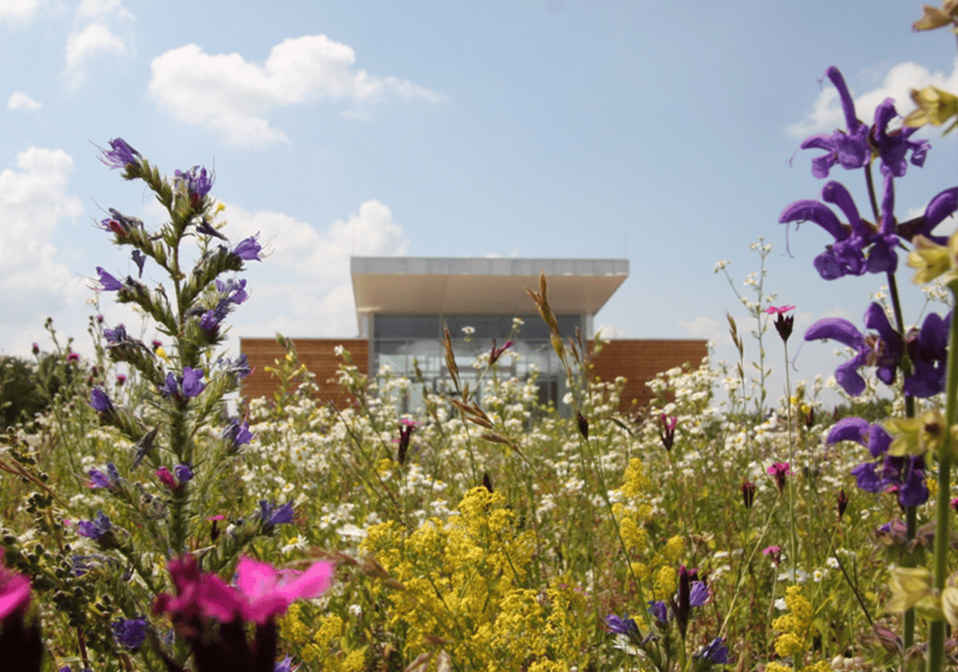 Heideabenteuer in den Pfingstferien