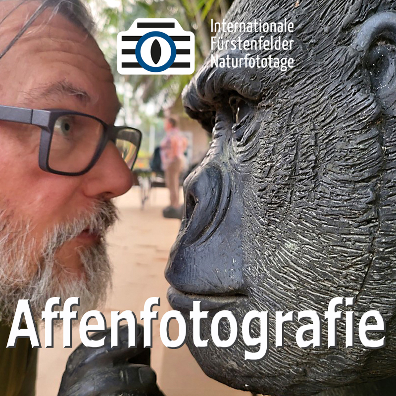 Jörg Ehrlich – Ich mach‘ mich nicht zum Affen / Seminar