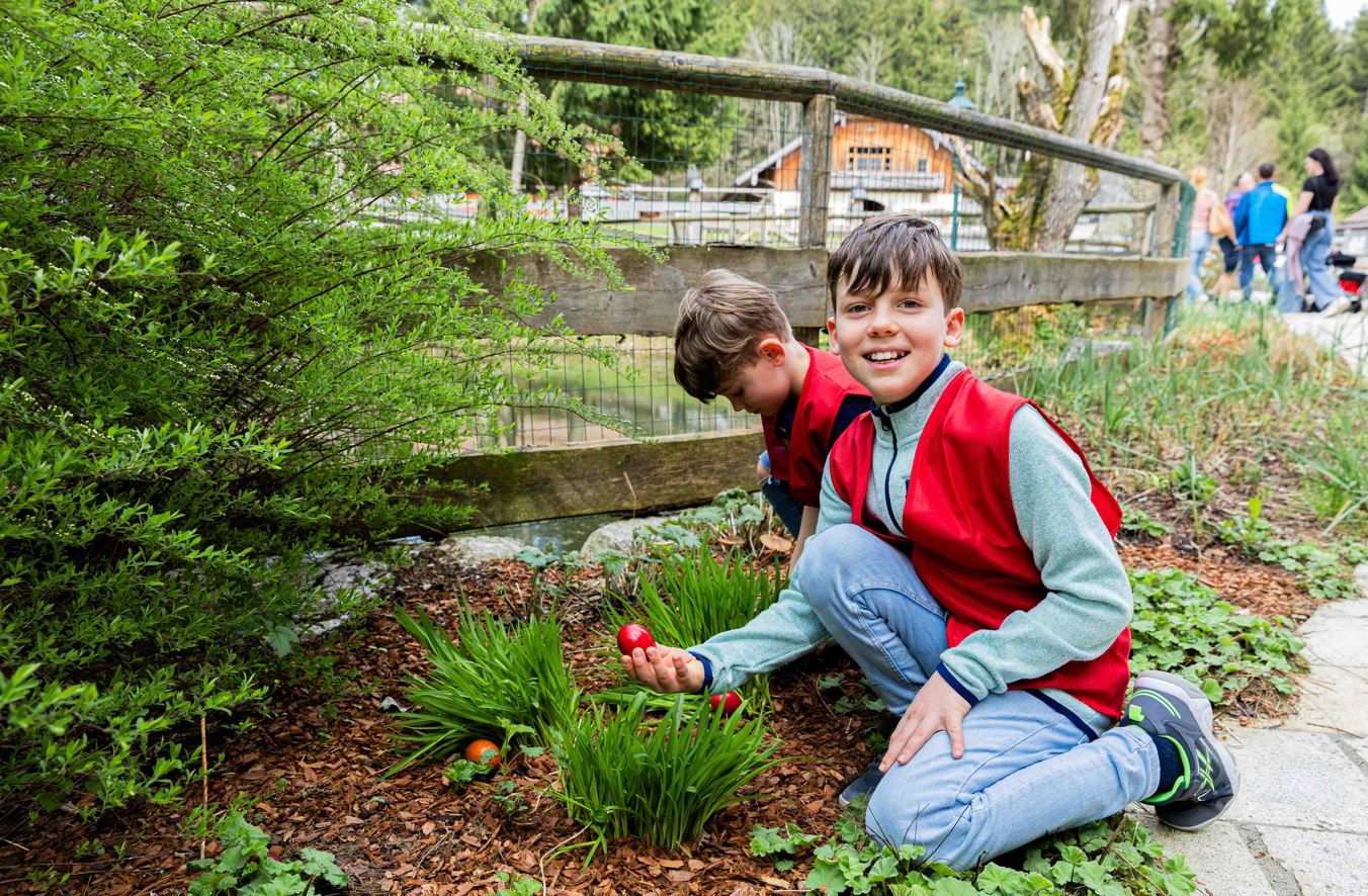 Kinder finden Ostereier neben einem Zaun und Büschen auf Gut Aiderbichl.